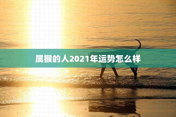 属猴的人2021年运势怎么样