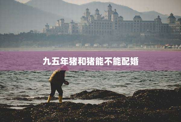 九五年猪和猪能不能配婚