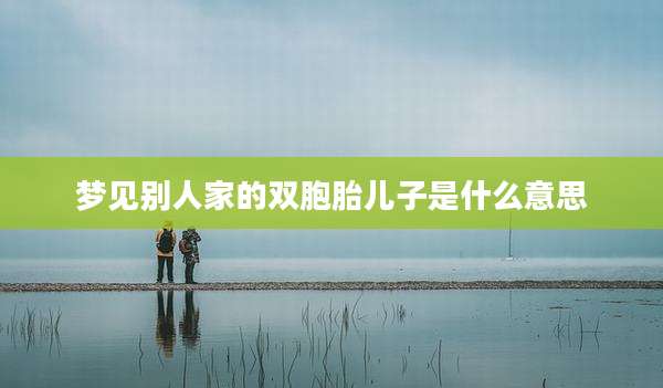 梦见别人家的双胞胎儿子是什么意思