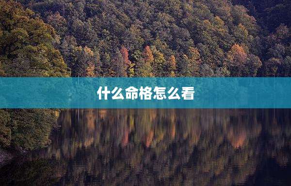 什么命格怎么看