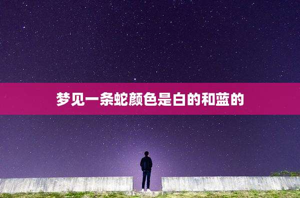梦见一条蛇颜色是白的和蓝的