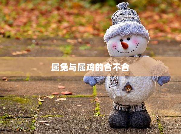 属兔与属鸡的合不合