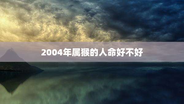 2004年属猴的人命好不好