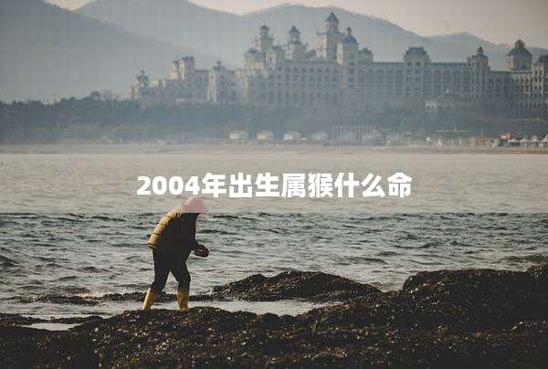 2004年出生属猴什么命