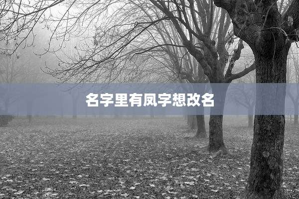 名字里有凤字想改名