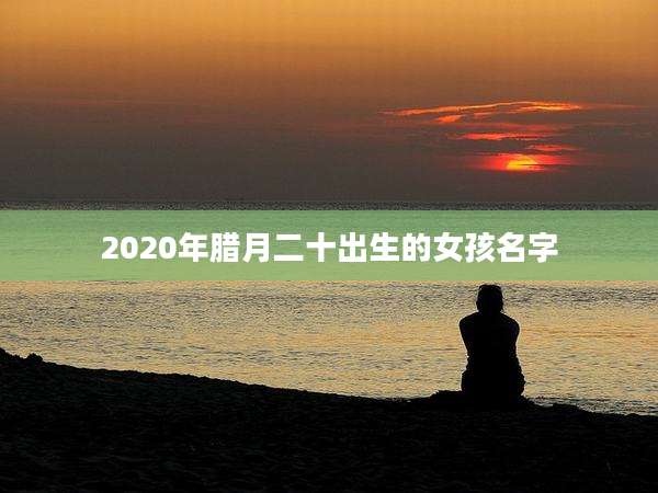 2020年腊月二十出生的女孩名字