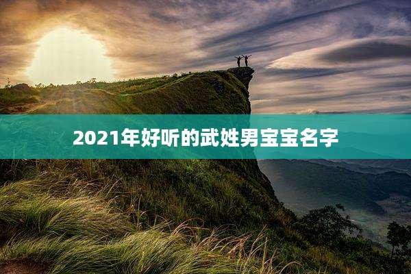 2021年好听的武姓男宝宝名字