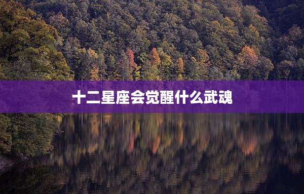 十二星座会觉醒什么武魂