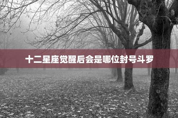 十二星座觉醒后会是哪位封号斗罗