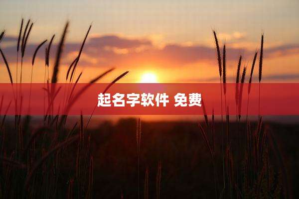 起名字软件 免费