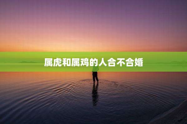 属虎和属鸡的人合不合婚