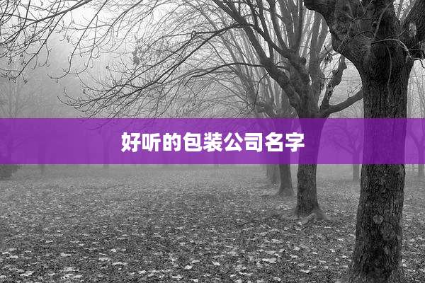 好听的包装公司名字