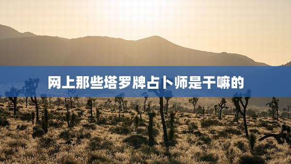 网上那些塔罗牌占卜师是干嘛的