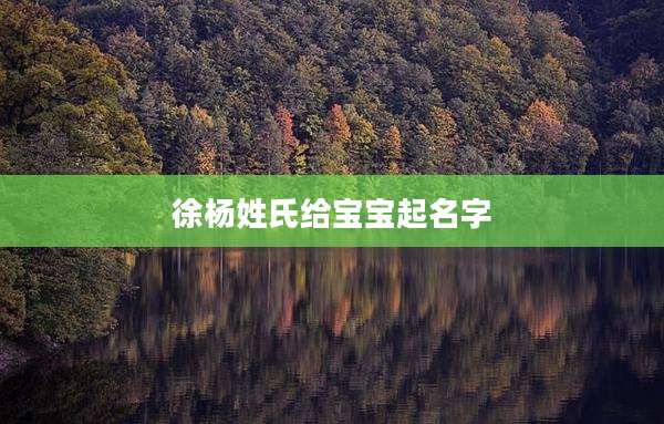 徐杨姓氏给宝宝起名字