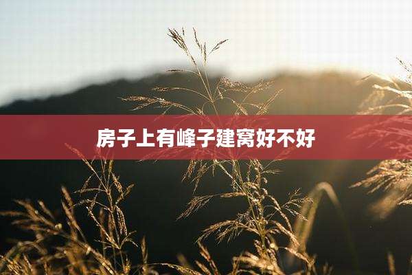 房子上有峰子建窝好不好