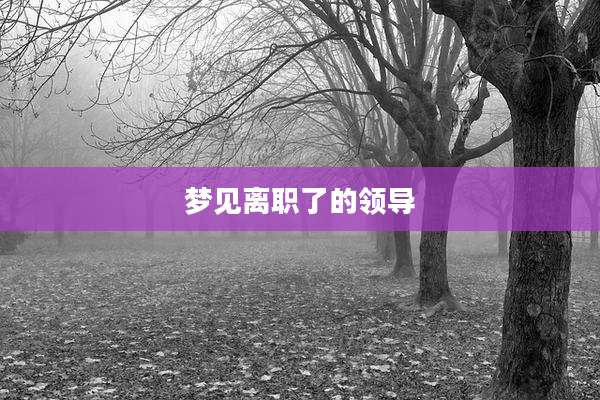 梦见离职了的领导