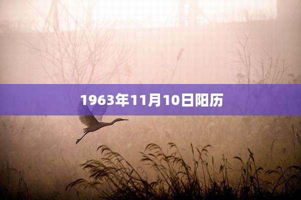 1963年11月10日阳历