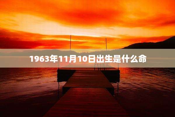 1963年11月10日出生是什么命