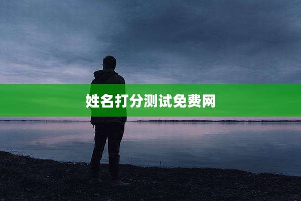 姓名打分测试免费网