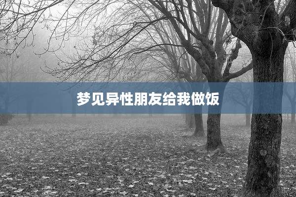 梦见异性朋友给我做饭