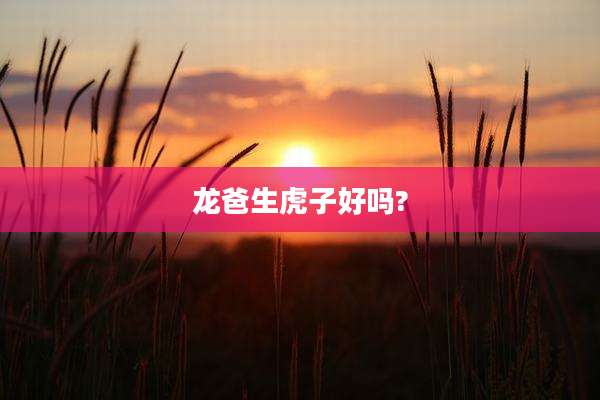 龙爸生虎子好吗?