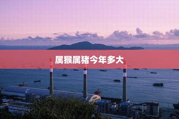 属猴属猪今年多大