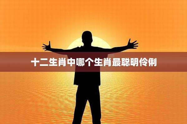 十二生肖中哪个生肖最聪明伶俐