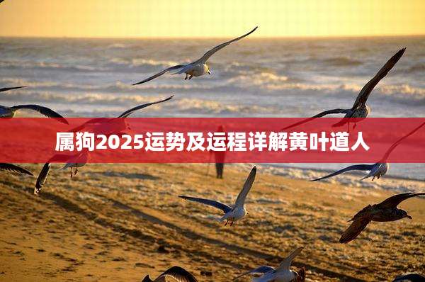 属狗2025运势及运程详解黄叶道人
