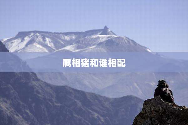 属相猪和谁相配