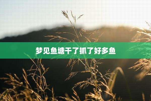 梦见鱼塘干了抓了好多鱼