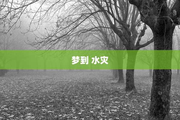 梦到 水灾