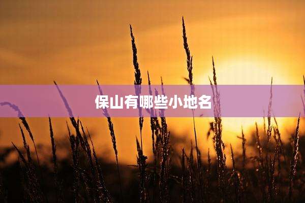 保山有哪些小地名