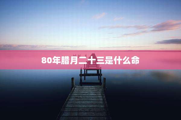 80年腊月二十三是什么命