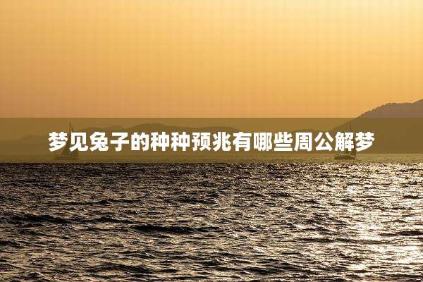 梦见兔子的种种预兆有哪些周公解梦