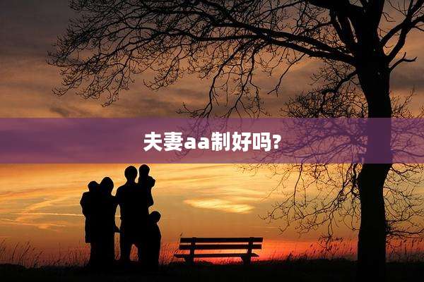 夫妻aa制好吗?