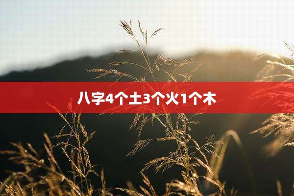 八字4个土3个火1个木