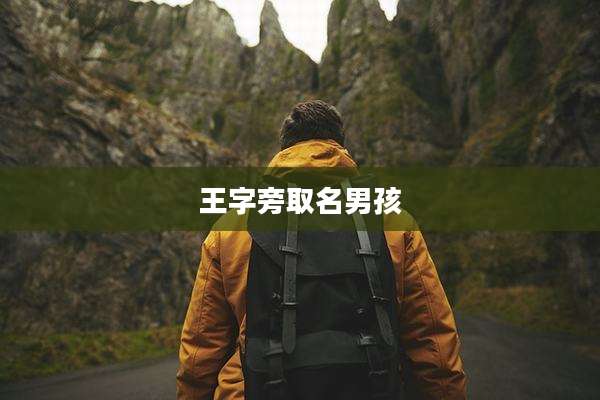 王字旁取名男孩