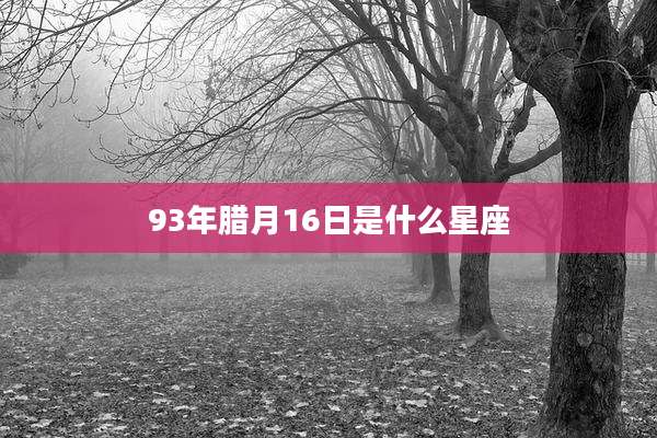 93年腊月16日是什么星座