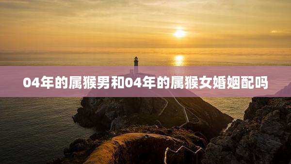 04年的属猴男和04年的属猴女婚姻配吗