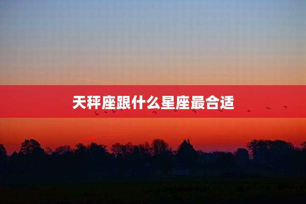 天秤座跟什么星座最合适
