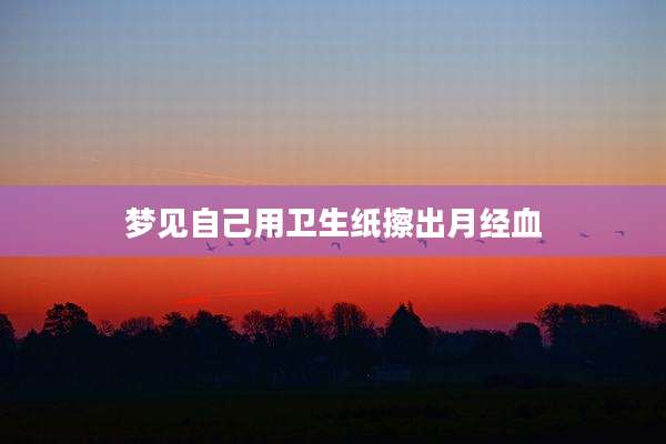 梦见自己用卫生纸擦出月经血