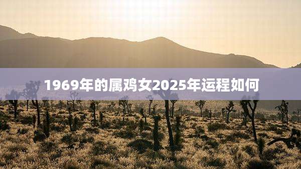 1969年的属鸡女2025年运程如何