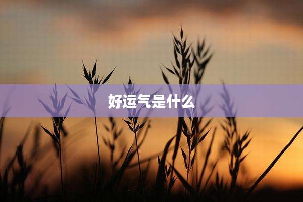 好运气是什么