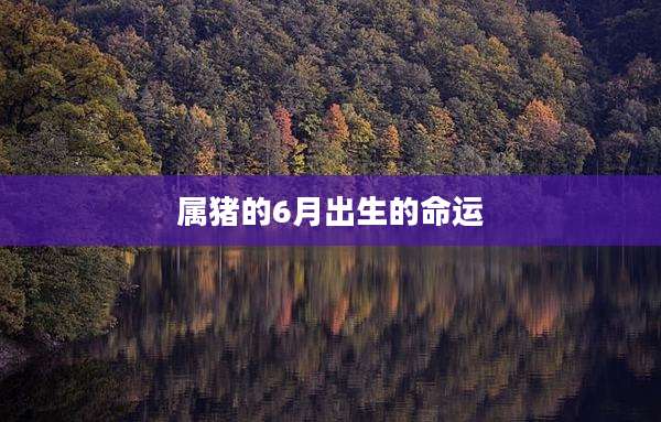 属猪的6月出生的命运