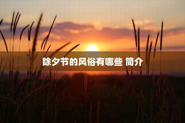 除夕节的风俗有哪些 简介