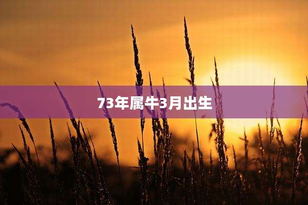 73年属牛3月出生