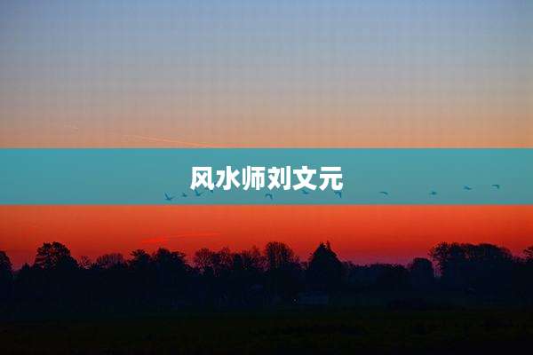 风水师刘文元
