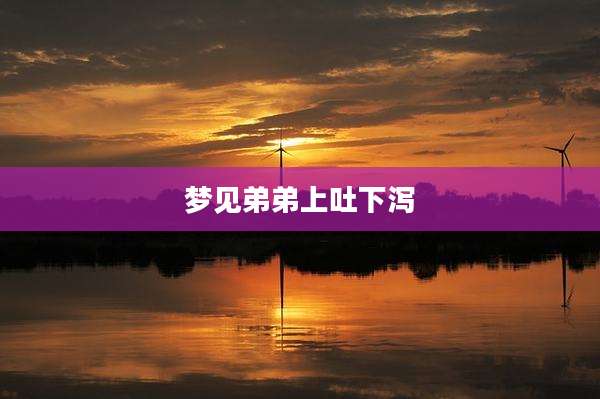 梦见弟弟上吐下泻