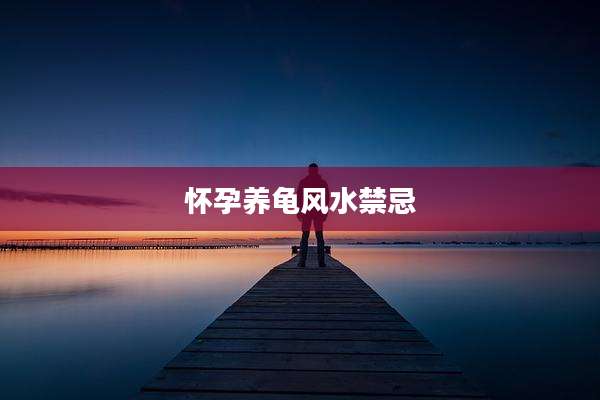 怀孕养龟风水禁忌