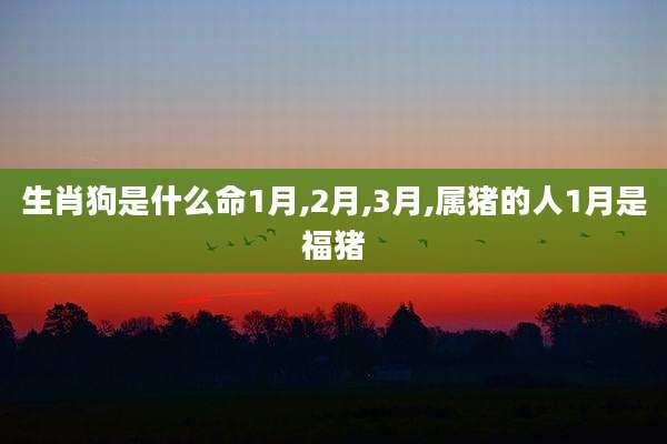 生肖狗是什么命1月,2月,3月,属猪的人1月是福猪